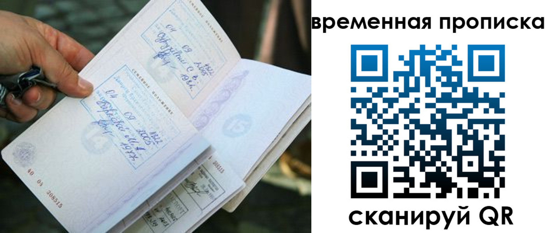 пропишу в квартире в Димитровграде
